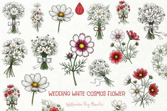 Wedding White Cosmos Flower Clipart: Elegant Botanical Designs for Your Projects